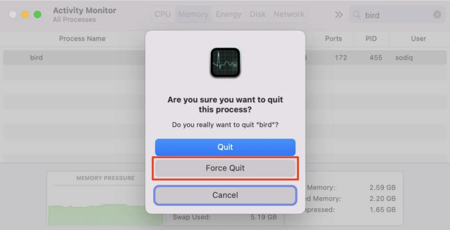 When you have found the Bird process, click on it and press the (X) button. You can then select Force Quit.