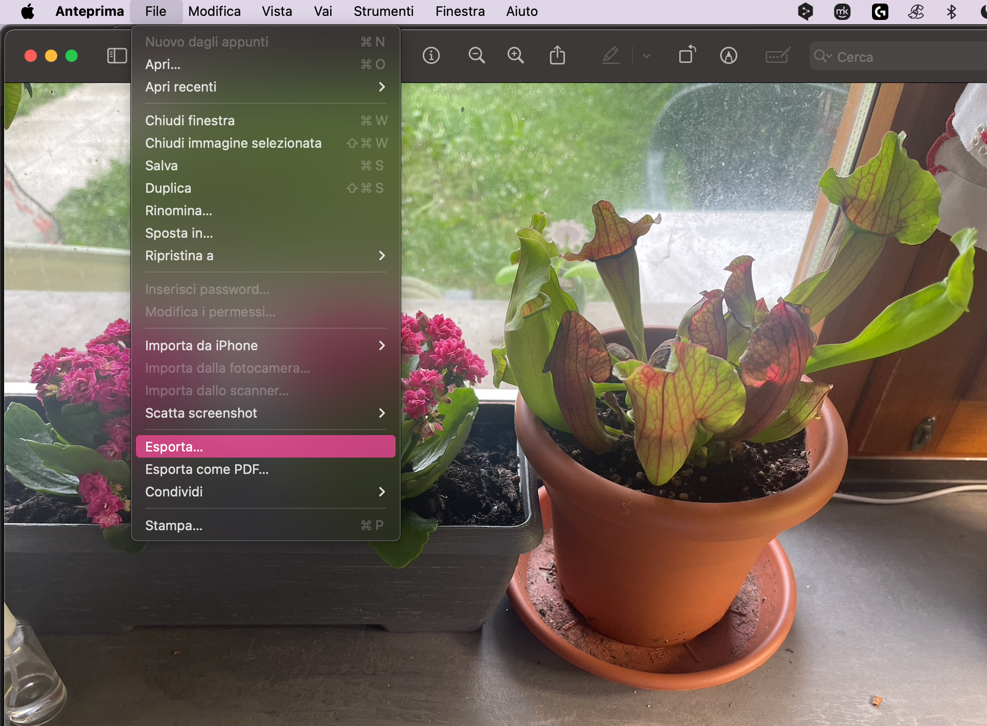 Trasforma HEIC in JPG su Mac aprendo l’app Anteprima e andando su File > Esporta. Qui puoi regolare la qualità dell’immagine e la posizione in cui vuoi salvare il file.