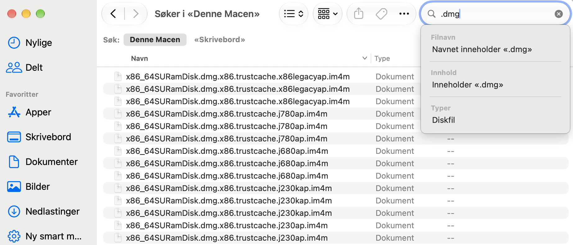 Skriv inn .zip eller .dmg i søkeboksen for å søke etter diskavbilder og arkivfiler på Mac-disken din. Dette hjelper deg med enkelt å finne og bli kvitt uønskede diskavbilder og arkivfiler raskt.