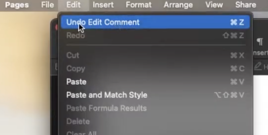 If you need to undo in text editors, many of them all work the same way. With your doc open, you can press the ⌘ + Z shortcut with your keyboard keys to bring back and undo changes. Alternatively, go to Edit > Undo Edit in the menu.
