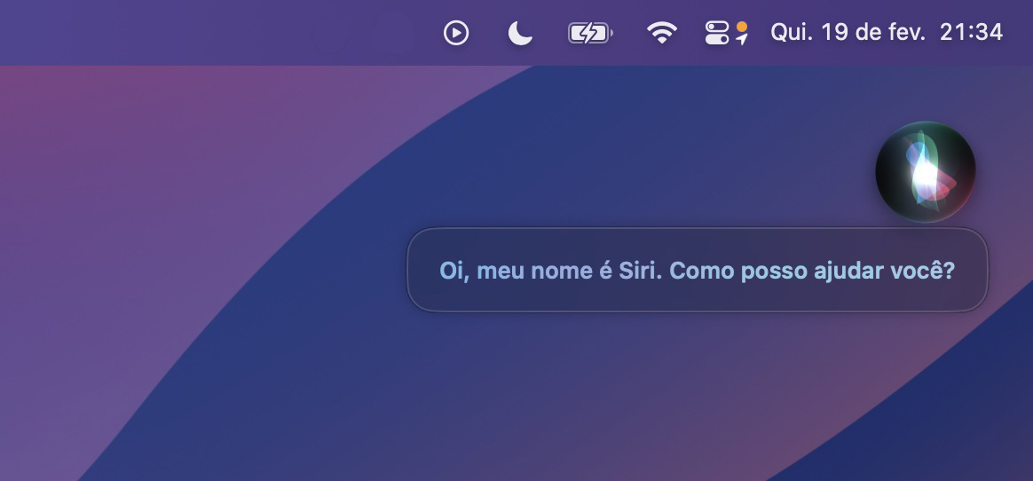 A janela pop-up da Siri apareceu logo no início da abertura do aplicativo. É sua assistente de voz para ajudar a aproveitar sua experiência como usuário no Mac.