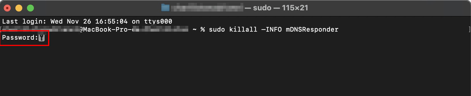 Uma opção para digitar sua senha aparecerá, mas a senha não será exibida no aplicativo Terminal enquanto você a digita. Mesmo assim, digite normalmente e pressione Enter novamente.