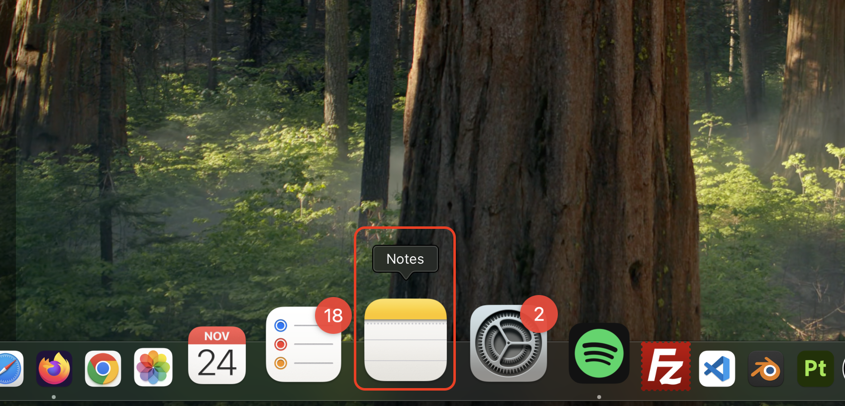 Open a text editor such as Notes to test whether automatic capitalization is disabled by typing a sentence and checking if the first word stays lowercase.