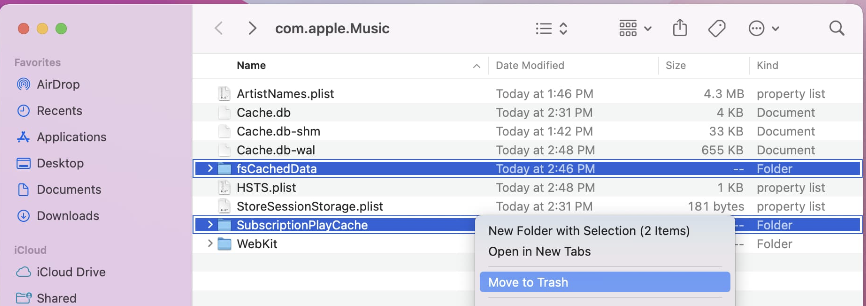 You can also look for music-related cache manually via your Finder Library. If you find any, right-click and move to the Bin.