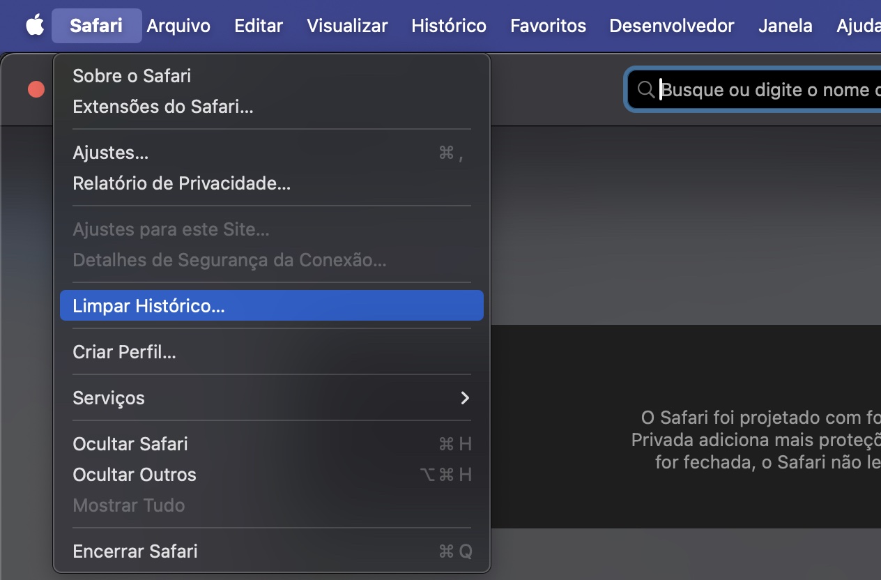 Em seguida, você vai querer limpar o histórico do Safari. Isso também pode ajudar se o navegador estiver lento. Vá até a barra de menus e selecione Safari > Limpar Histórico.