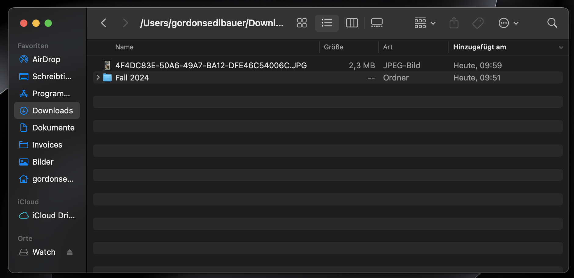 Um heruntergeladene Fotos zu finden, öffnen Sie den Finder in der Taskleiste Ihres Mac und klicken Sie im linken Bereich auf Downloads.