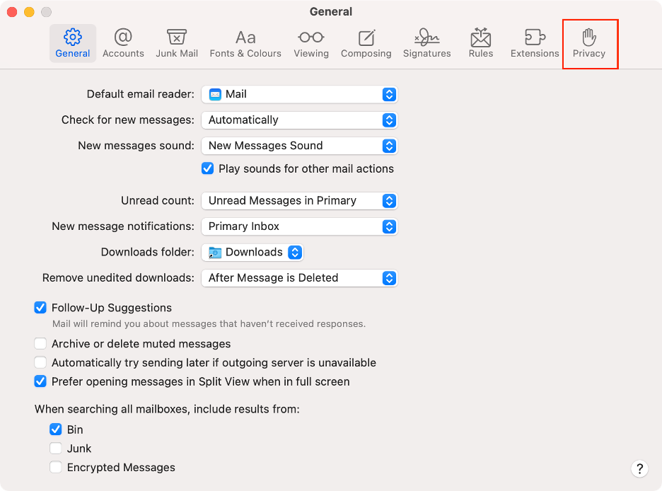 To turn off Mail Privacy Protection to fix the privacy preferences error on your Mac, go to the Privacy tab on the Mail Settings panel.