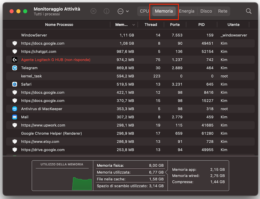 Puoi quindi passare alla scheda Memoria e cercare eventuali elementi che non riconosci e che sembrano utilizzare molta memoria. I processi particolarmente esigenti possono essere un segnale di attività dannosa e la causa di un Mac lento all’avvio.