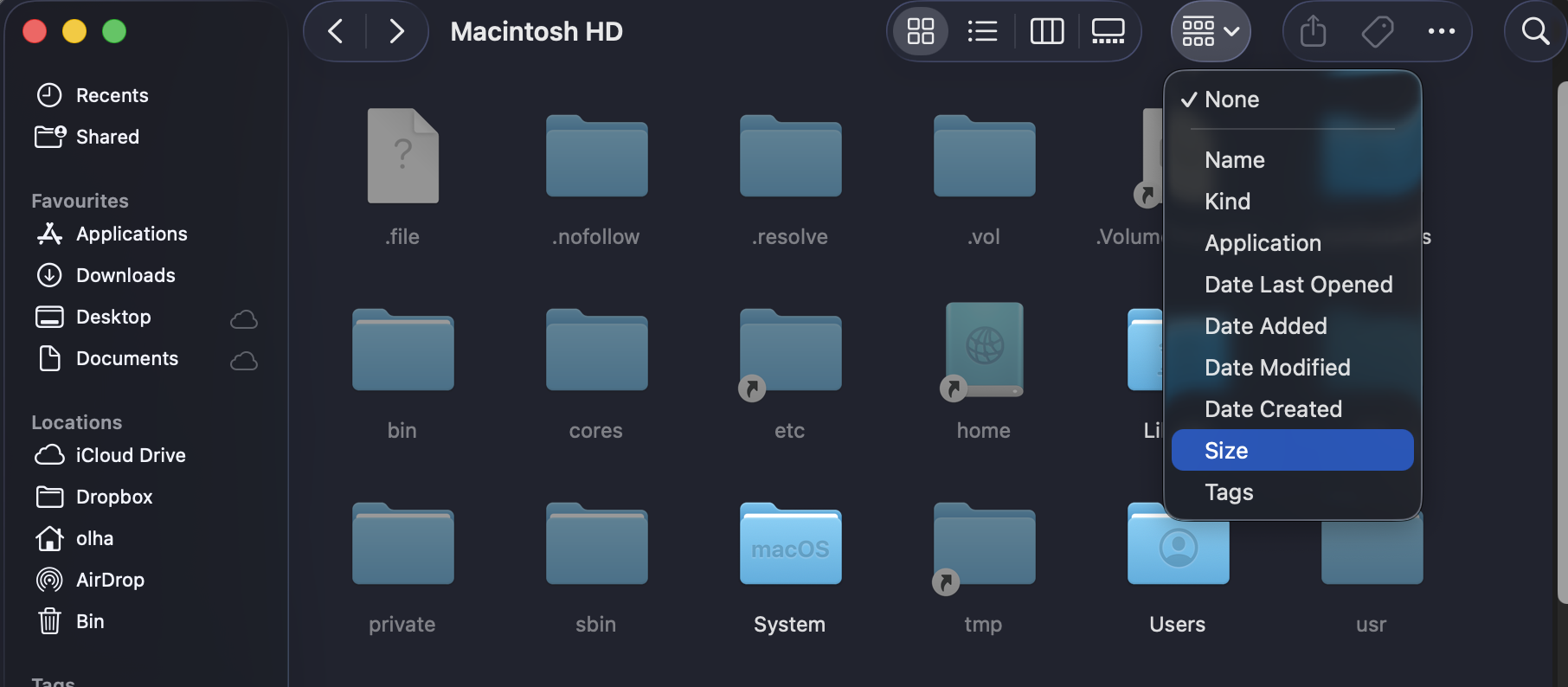 When the list of files appears, select the Size option at the top of the list, and you’ll see how many gigabytes every app takes up.
