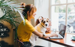 How to Double Click on Mac How to Double Click on Mac