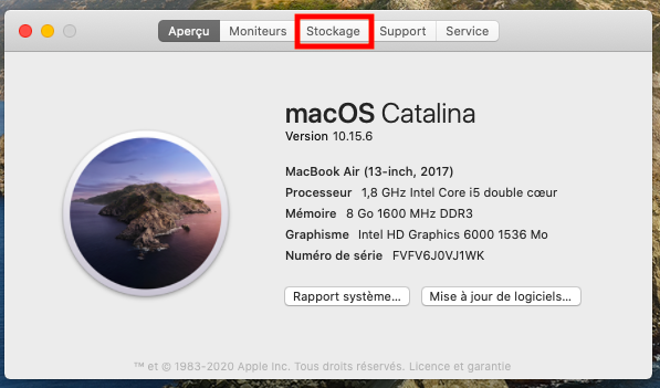 Pour obtenir des recommandations sur ce qui peut être supprimé sur votre Mac, cliquez sur l'onglet Stockage.