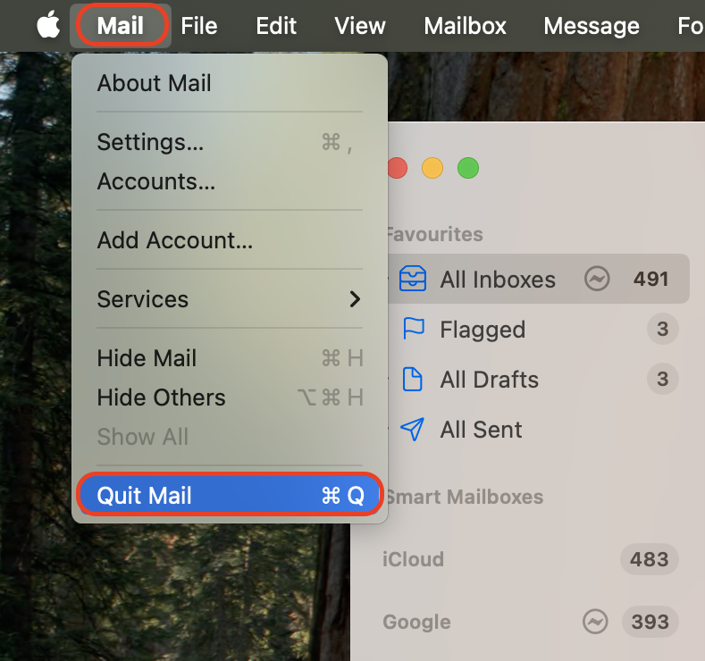 Open the Mail menu at the top of the screen and select Quit Mail to fully close the app before proceeding with deletion.