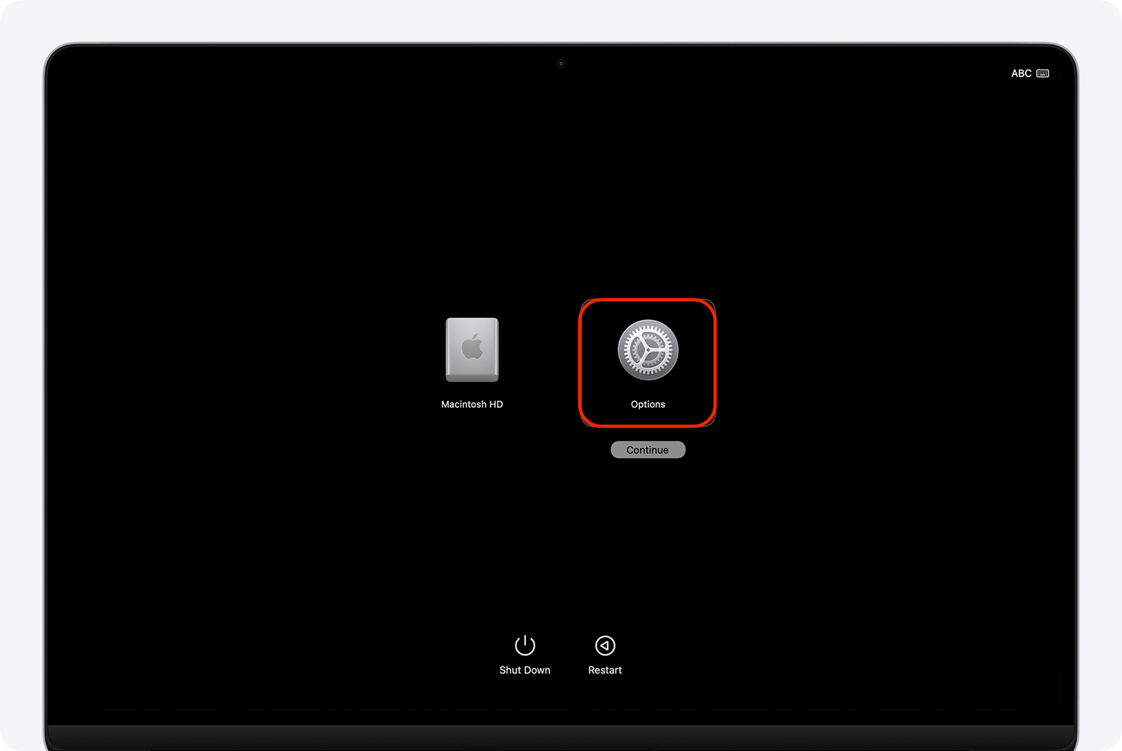 macOS Recovery startup options screen on an Apple Silicon Mac with the Options gear selected and the Continue button to enter Recovery.
