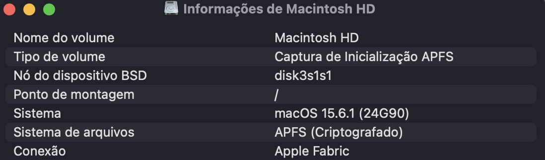 Na janela que abrir, você verá as informações do disco rígido.