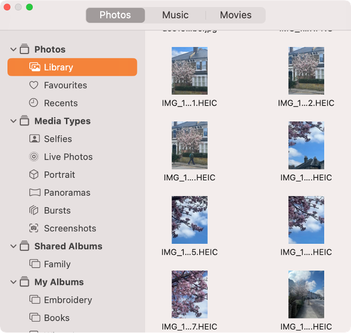 To add a photo to Pages, find the image saved on your Mac and select it.