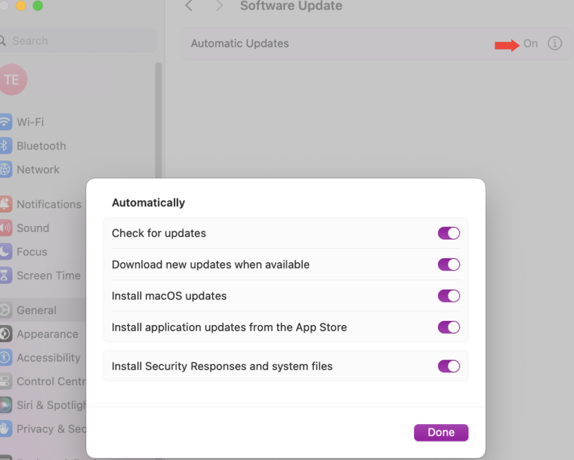 To make sure your macOS stays up to date, you can turn on Automatic updates. Now, not only will your macOS be the newest version but so will your installed apps from the App Store, including Safari.