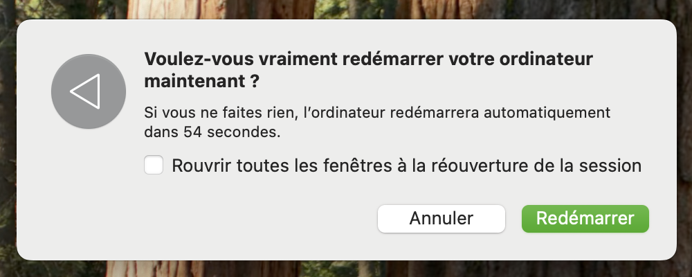 Cliquez ensuite sur le bouton Redémarrer dans la fenêtre de dialogue qui s'affiche.