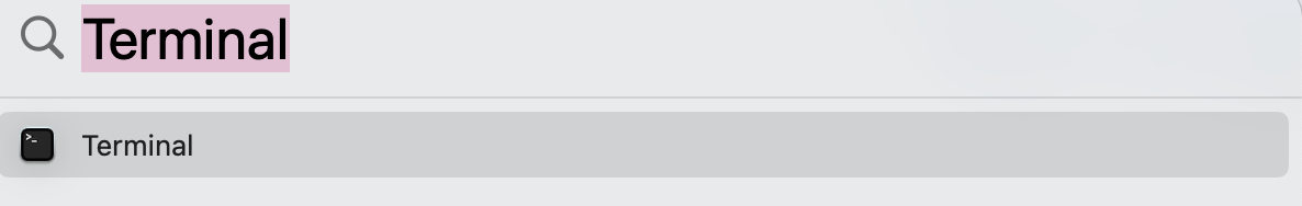 Vá ao Spotlight e escreva Terminal. A aplicação surgirá como primeiro resultado e, em seguida, deve clicar nela para remover os instantâneos da Time Machine.