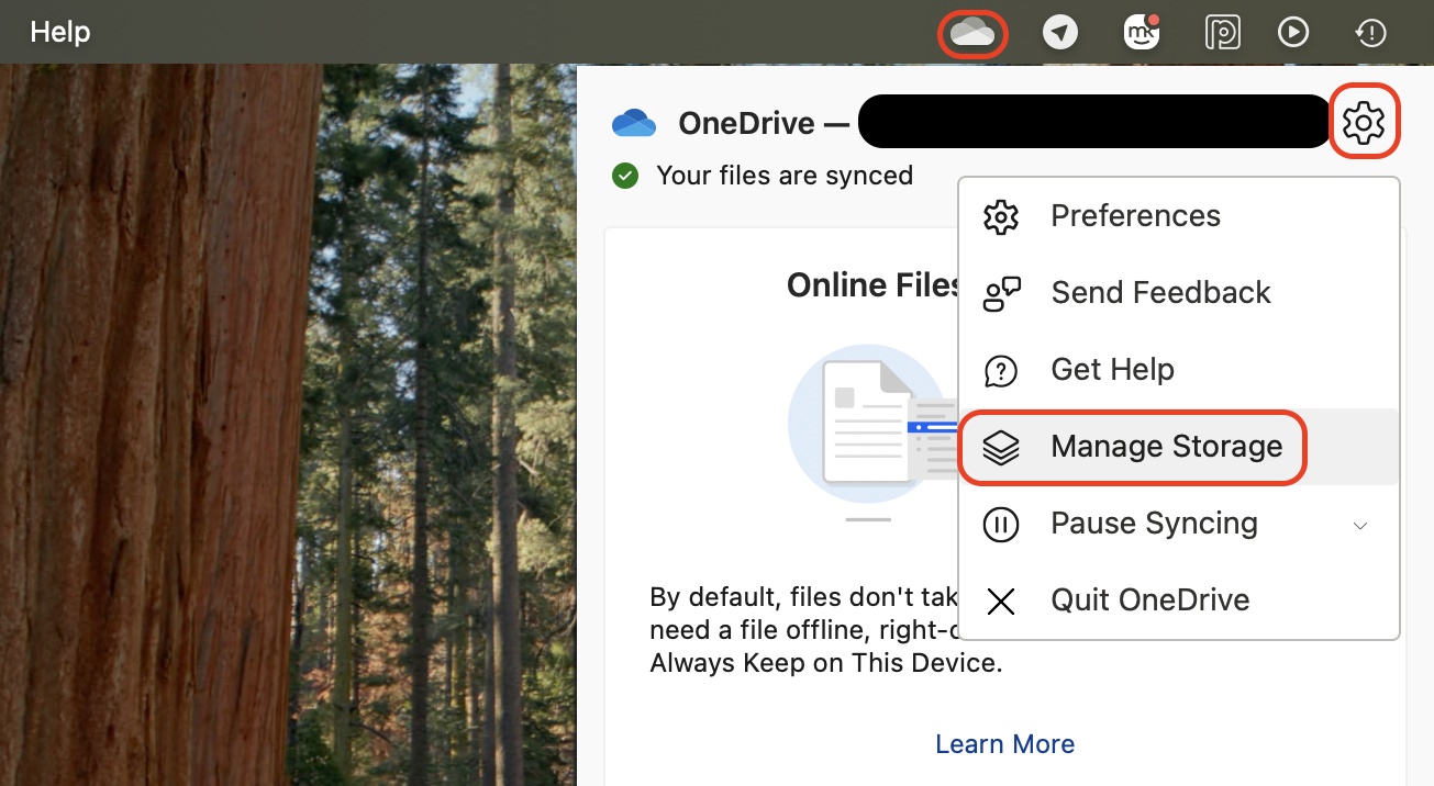 Click the OneDrive icon, open Help & Settings, and select Manage Storage to review and manage your current cloud storage usage.