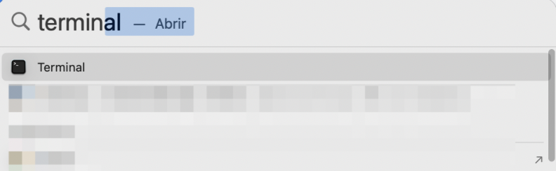 Borre la caché obsoleta del Mac. Para vaciar la caché DNS, busca el Terminal en Spotlight.