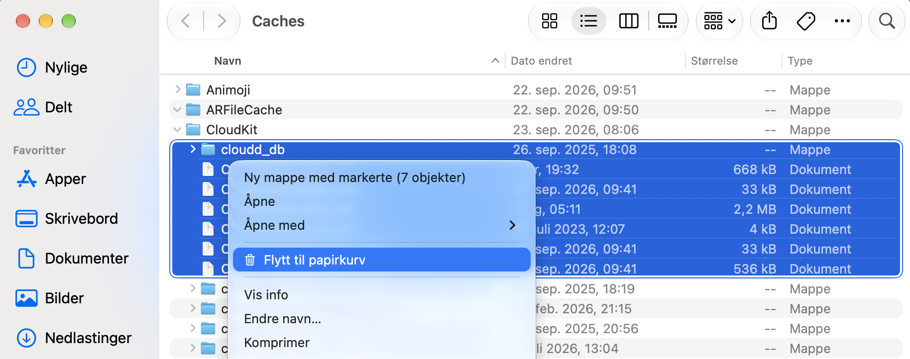 Hvis du vet hva du trygt kan slette, sender du bare disse filene til papirkurven og tømmer den, akkurat som du ville gjort med andre filer du vil slette.