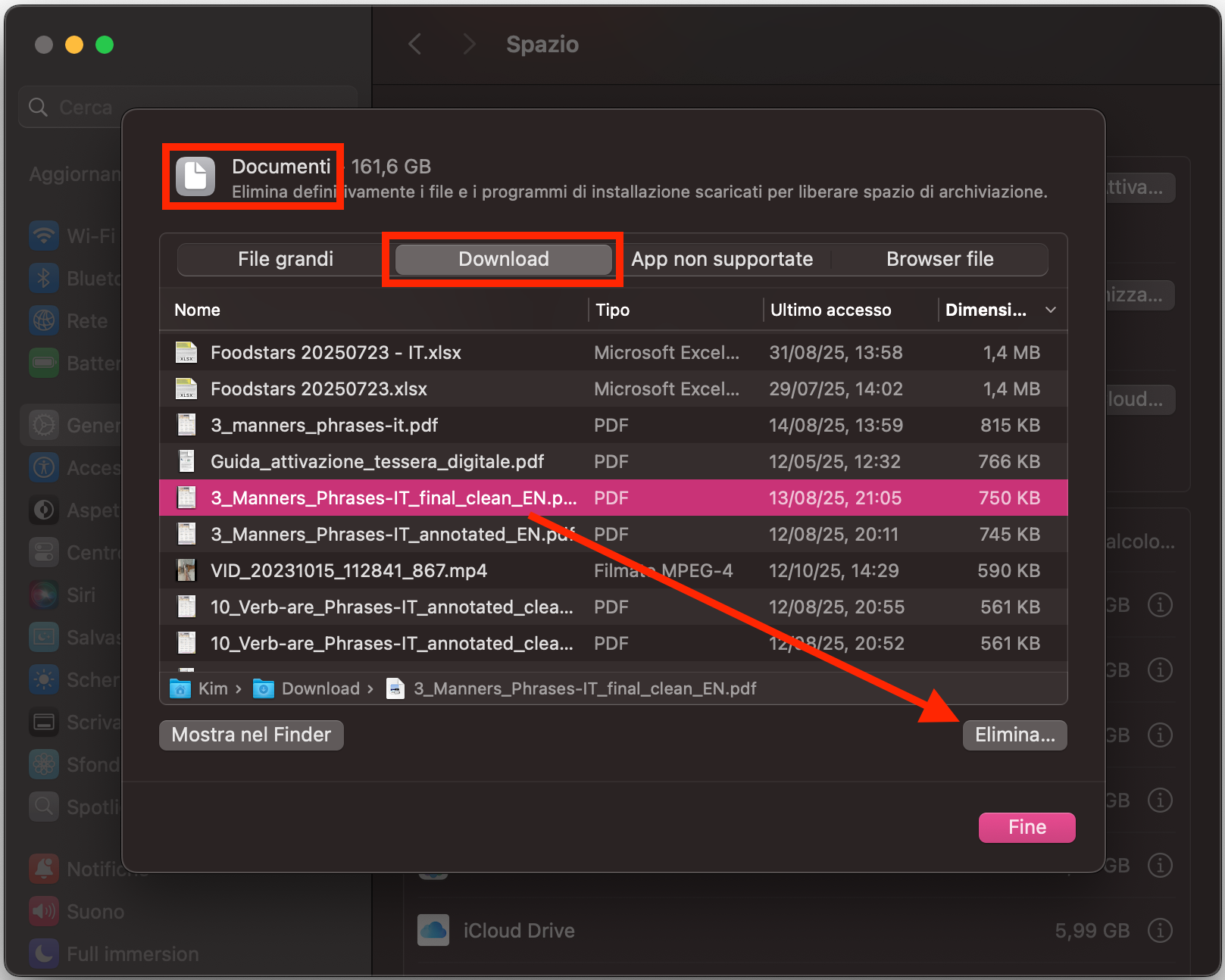 Per rimuovere automaticamente i download sul Mac, seleziona Documenti dal menu laterale e poi fai clic sulla scheda Download. Fai clic su un file che vuoi eliminare e, una volta selezionato, fai clic su Elimina nell’angolo in basso a destra.