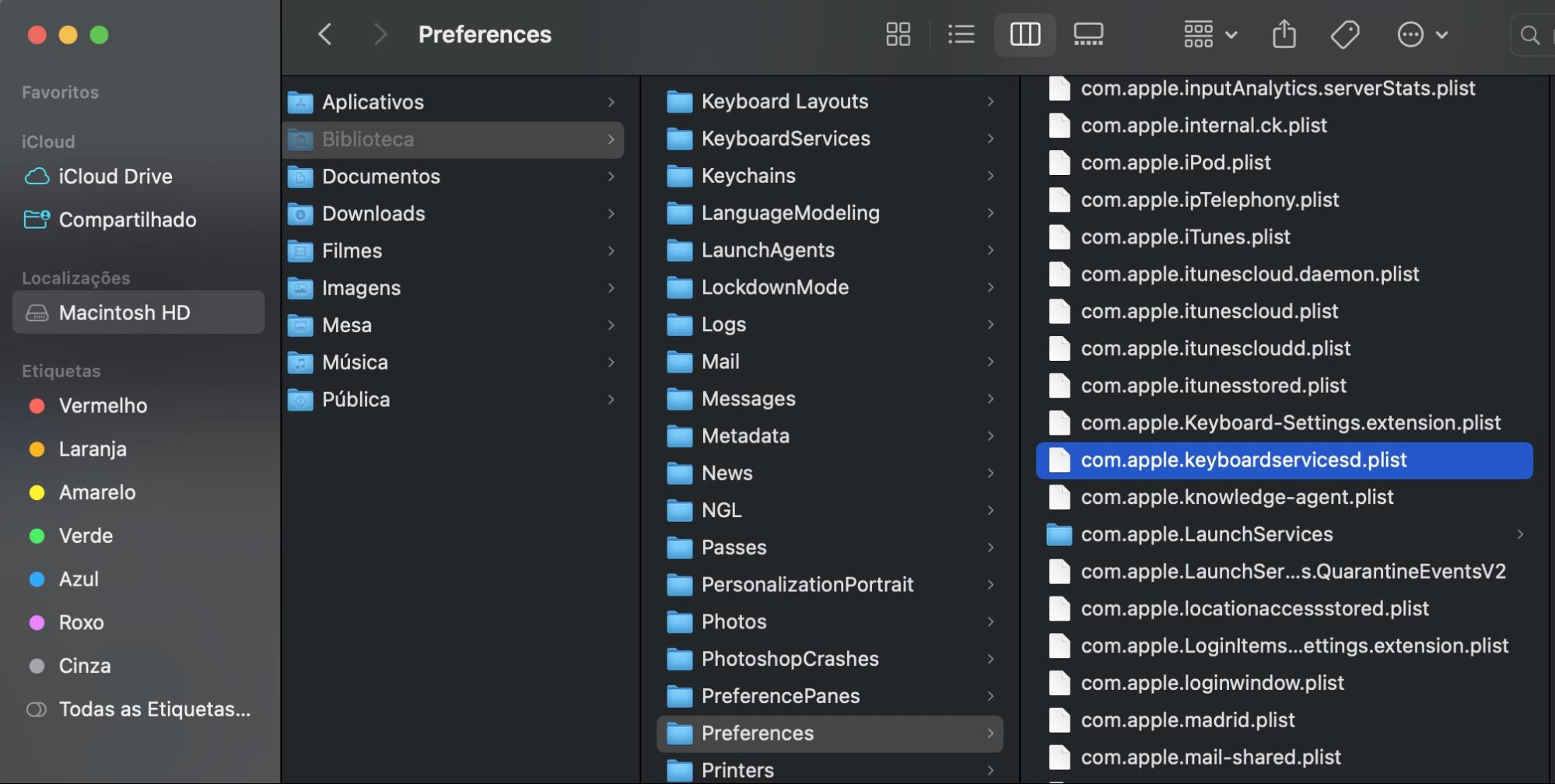 A pasta Preferências Preferences aberta como resultado do comando anterior, com o arquivo com.apple.keyboardservicesd.plist selecionado para ser excluído