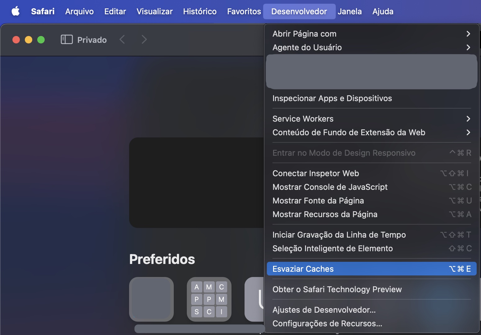 Por fim, para esvaziar o cache no Safari do Mac, no menu Desenvolvedor da barra de menus, localize e selecione Esvaziar Caches.