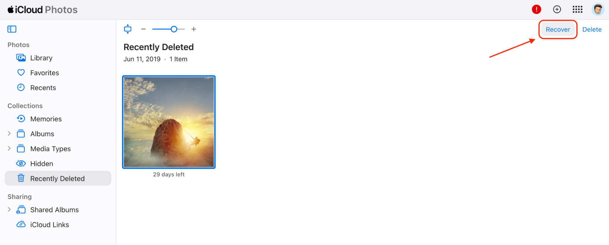 Select the photos you wish to restore in Recently Deleted, then click Recover to return them to your main photo library on Mac.