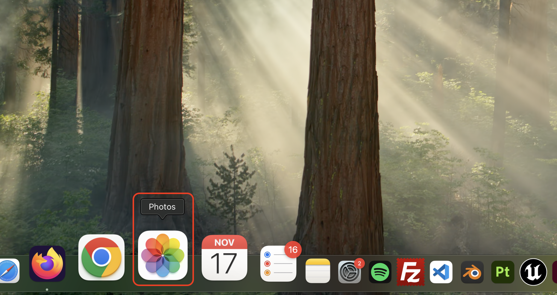 Open the Photos app on your Mac to access your entire photo library and begin managing storage by adjusting settings or removing unnecessary items.