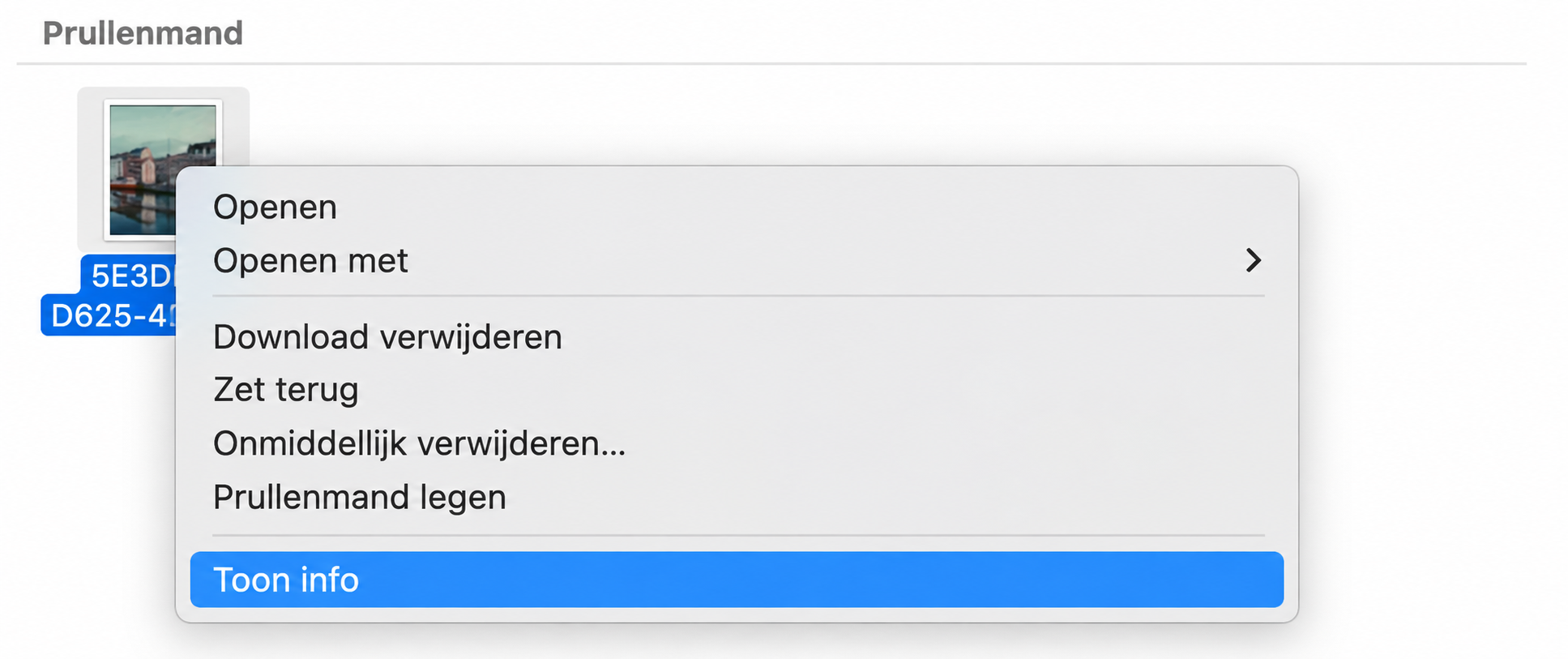 De volgende stap als je de Prullenmand op je Mac niet kunt legen, is proberen de bestanden te ontgrendelen die niet kunnen worden verwijderd. Ga naar de prullenmand, selecteer het betreffende bestand en kies Toon info.