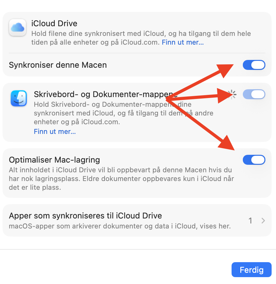 Alternativene for iCloud Drive i Systeminnstillinger på Mac. Pass på at alle sikkerhetskopieringsalternativer er aktivert for å sende filer til skyen og frigjøre plass på Mac.