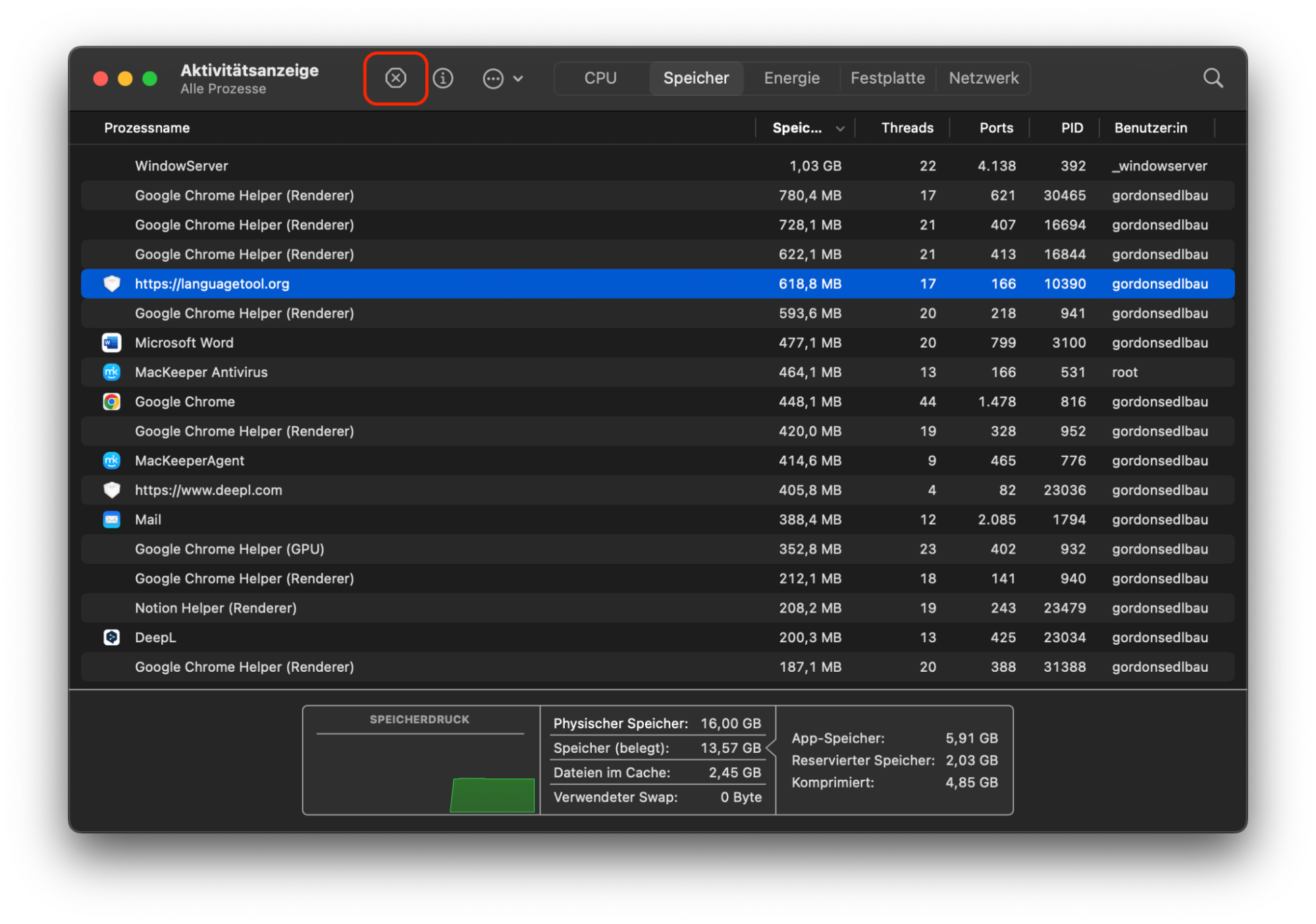 Die Aktivitätsanzeige in macOS Monterey zeigt eine Liste aller Prozesse, sortiert nach Speicherverbrauch. Um einen Prozess zu beenden, wählen Sie ihn zunächst aus und klicken Sie dann auf die Schaltfläche X.