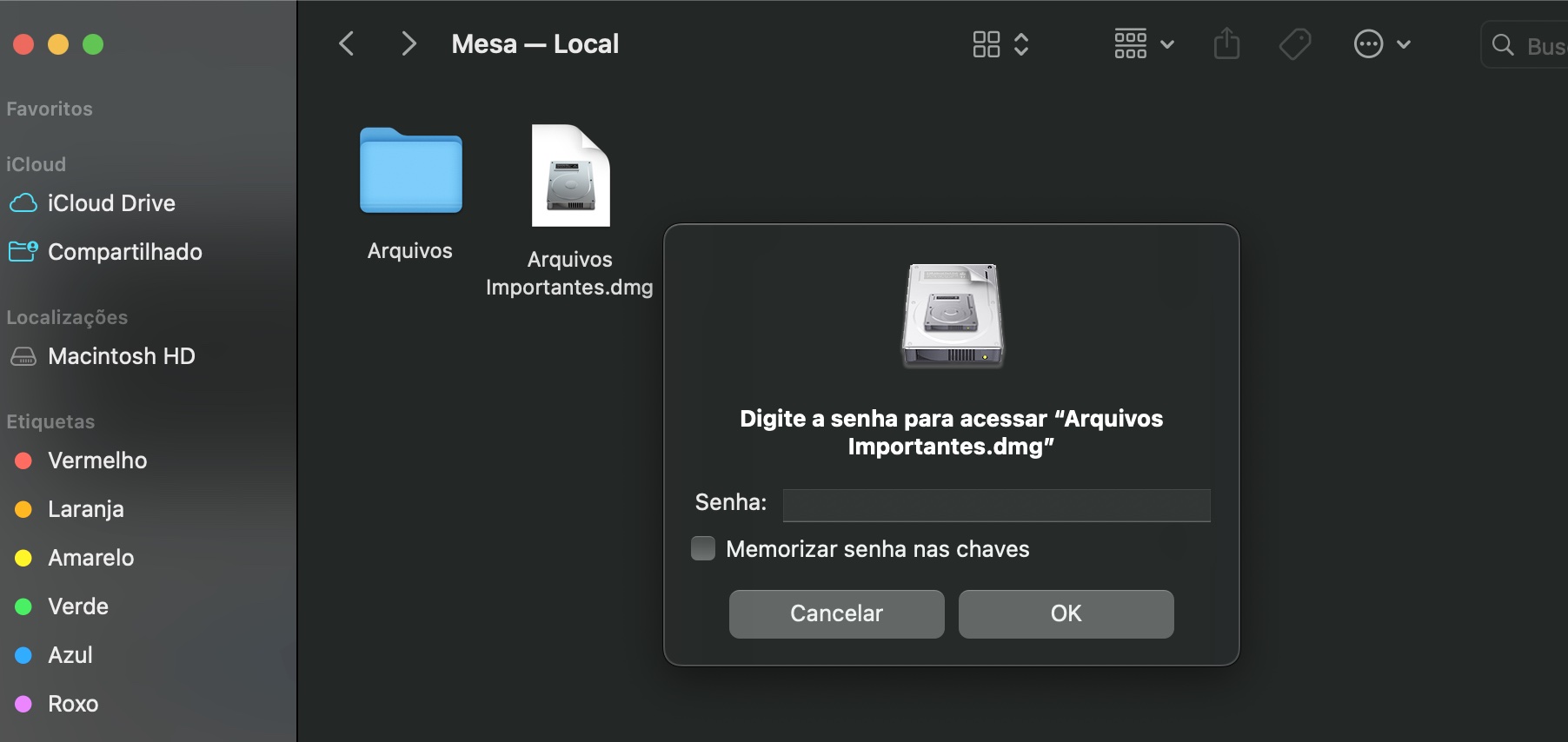 Janela final solicitando que a senha seja inserida novamente para confirmar a proteção da imagem de disco no Mac. 