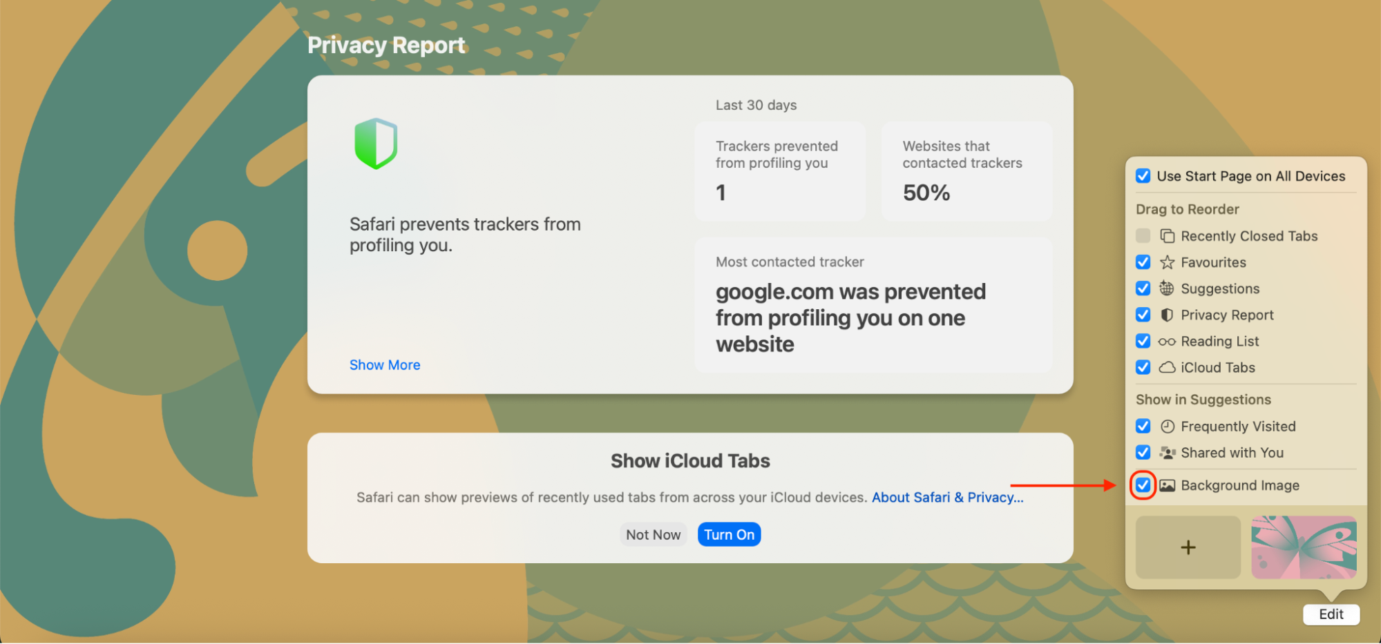 Uncheck the Background Image box in Safari's customization panel to remove your current background and return to the default look.