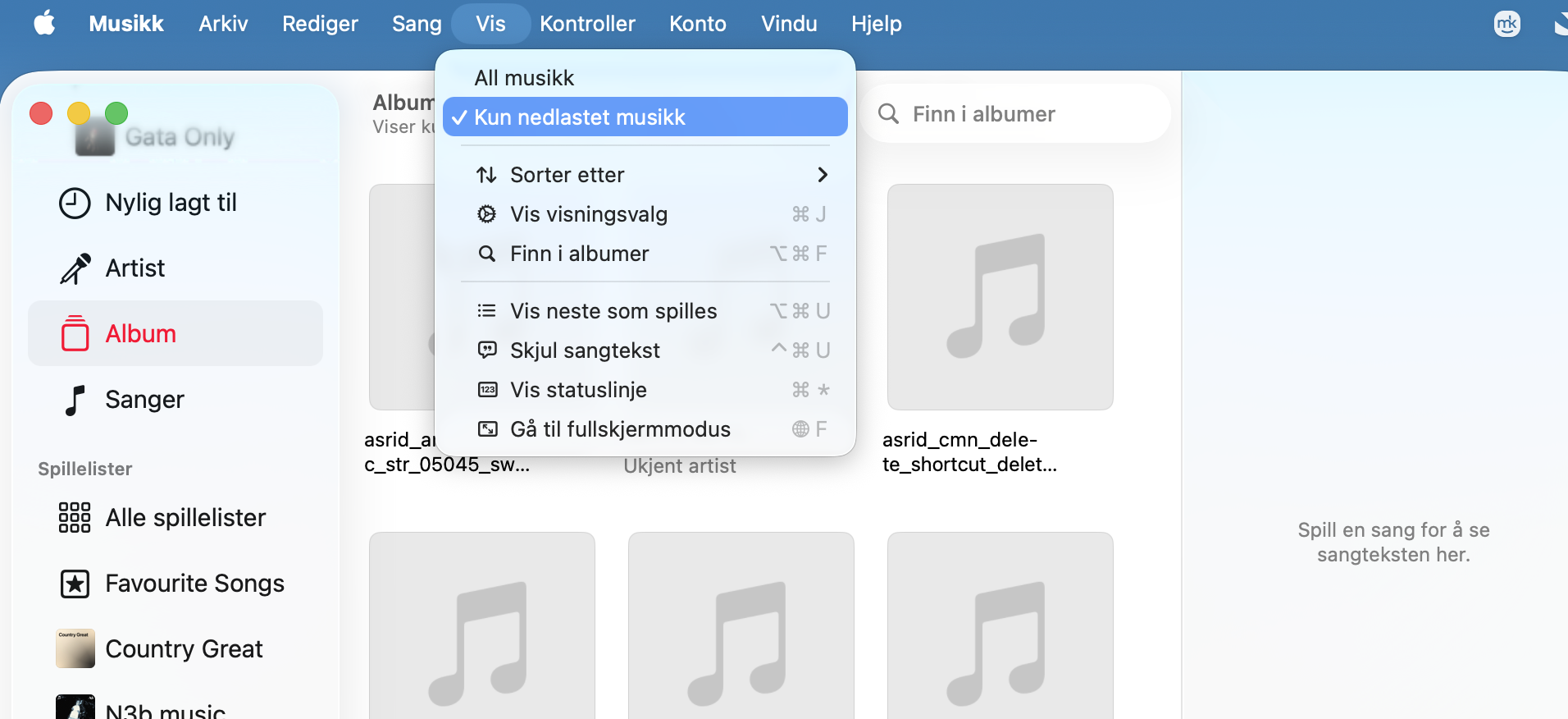 I menylinjen, velg fanen Vis og klikk på Kun nedlastet musikk for å se listen over lagret musikk