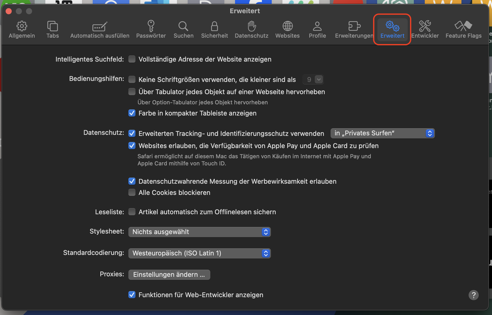 Suchen Sie im zweiten Schritt die Registerkarte Erweitert im Fenster Einstellungen und klicken Sie darauf, um den Vorgang zum Löschen des Cache von Safari auf dem Mac zu starten.