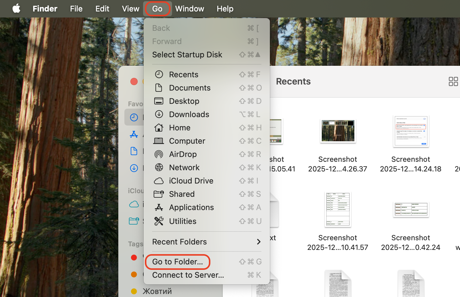 Opening Finder on macOS, clicking Go in the menu bar, and selecting Go to Folder to access hidden Library directories for manual extension removal.