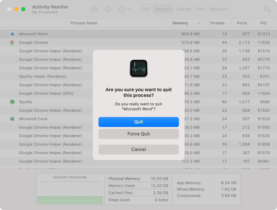 To close unnecessary background processes from your Mac, click Quit.