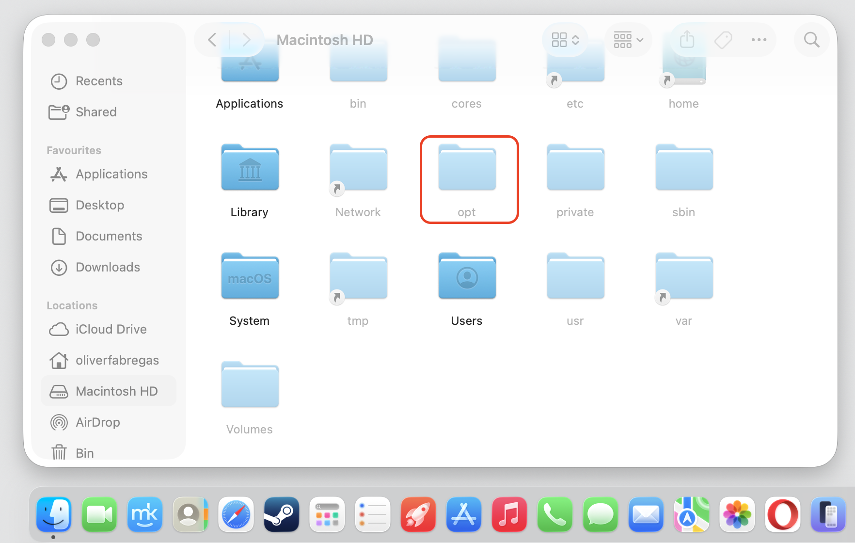 Finder Macintosh HD window on an Apple computer showing hidden items with the opt folder highlighted among bin, etc, and usr.