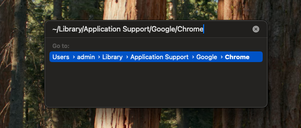 Finder Go to Folder on a MacBook with the Chrome Application Support path typed and Enter pressed to find the crashing profile data.