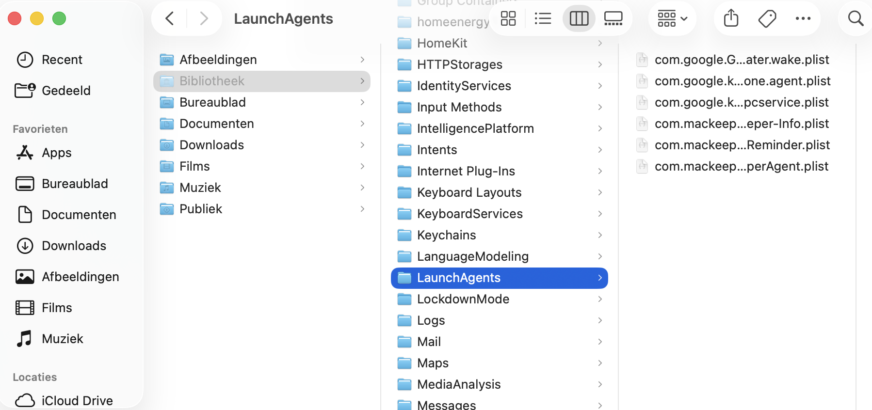 Ga in de map Bibliotheek naar de map LaunchAgents en open deze. Hier vind je de opstartonderdelen. Selecteer de onderdelen die je niet nodig hebt en verwijder ze.