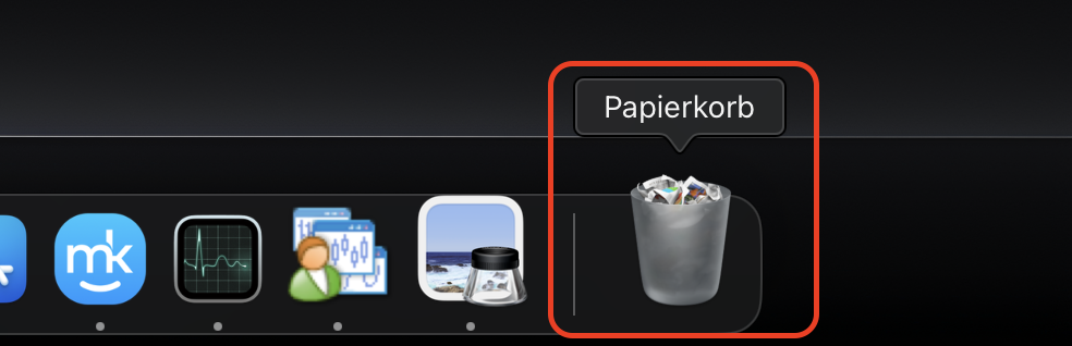 Löschen Sie im letzten Schritt zunächst alle nicht benötigten Cache-Dateien, indem Sie sie in den Papierkorb ziehen und diesen leeren, um den Safari-Cache effizient zu entfernen.