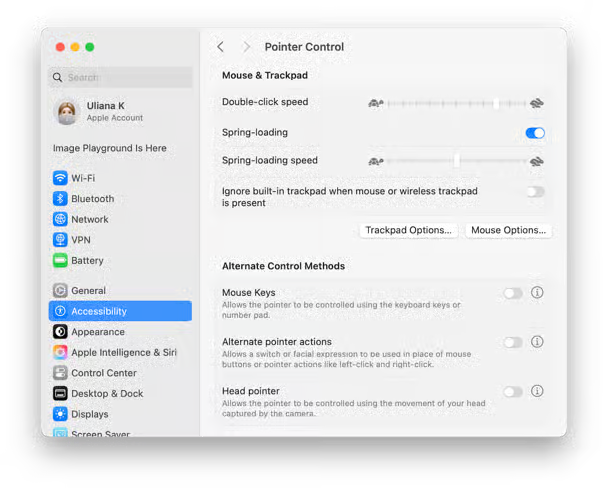 To customize spring-loaded folders, first go to the Apple Menu, where open System Settings, then select Accessibility, and choose Pointer Control feature.