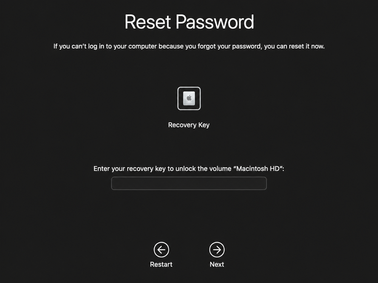 The macOS Reset Password screen prompts you to enter your FileVault Recovery Key to unlock Macintosh HD, then press Next on the Apple device.