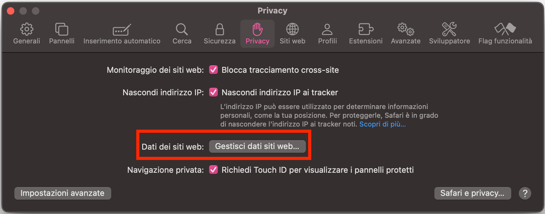 Quindi vai alla scheda Privacy, dove troverai l'opzione Gestisci dati siti web.