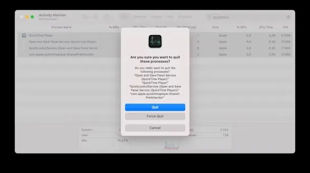 When the QuickTime Player is launched in Activity Monitor, click Force Quit to end the screen recording forcefully.