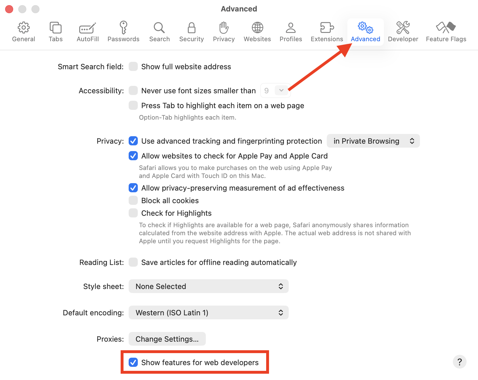 The option to Show features for web developers in Safari on Mac. We need to enable this before we can clear the Google Drive cache inside Safari for macOS.