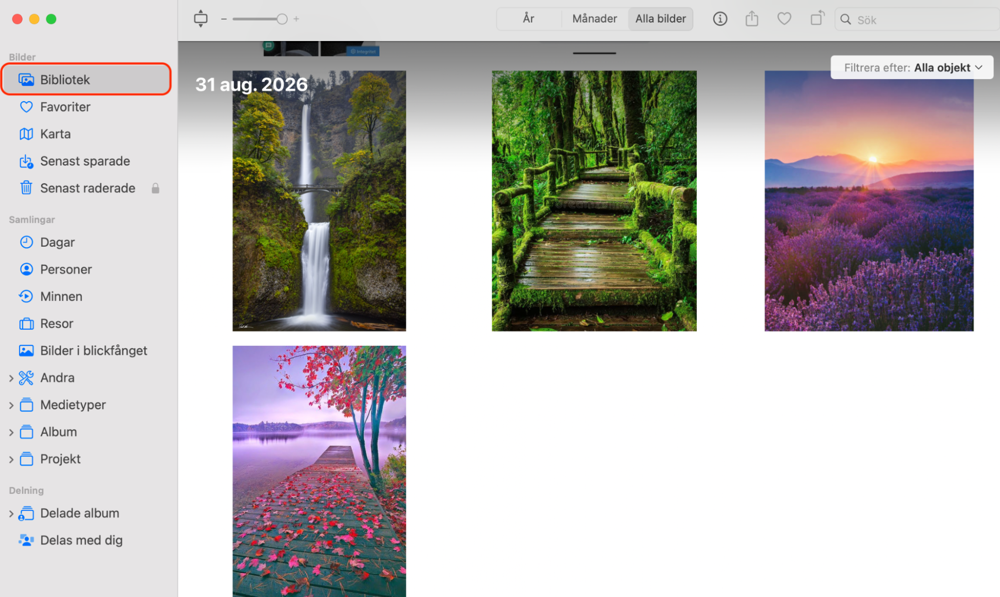 Avsnittet Bibliotek inuti appen Bilder på Mac. Ta bort oönskade foton och videor från din dator för att frigöra utrymme på Mac.