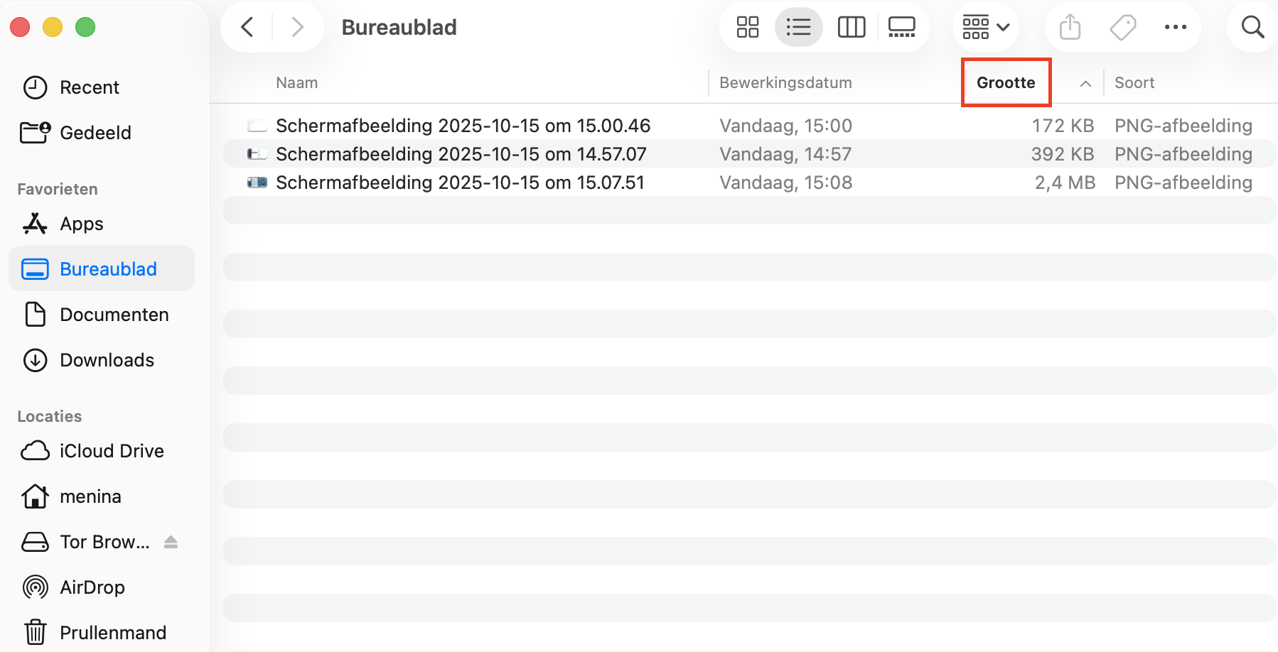 De map Bureaublad in Finder op de Mac, met alle bestanden gesorteerd op grootte. Verwijder grote bestanden die je niet nodig hebt om schijfruimte vrij te maken op je Mac.